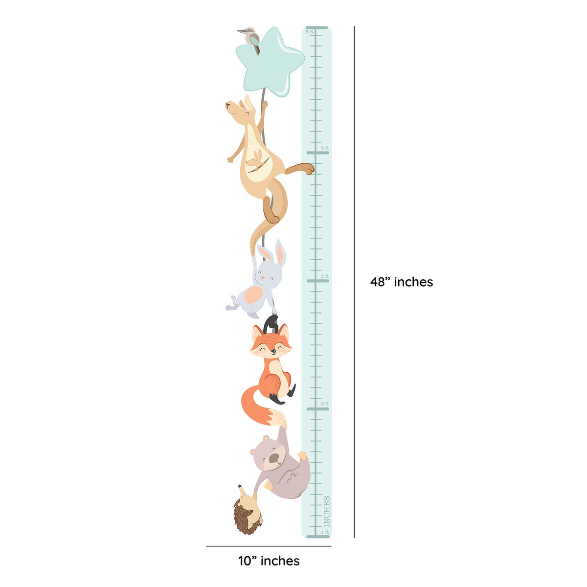 Woodland Animals Height Chart
