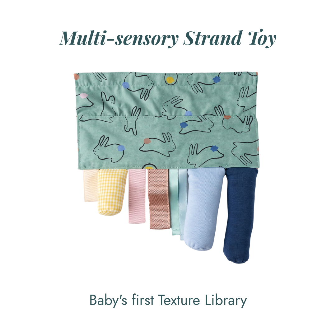 Montessori Playgym Play Gym