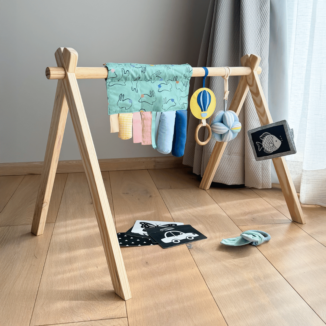 Montessori Playgym Play Gym