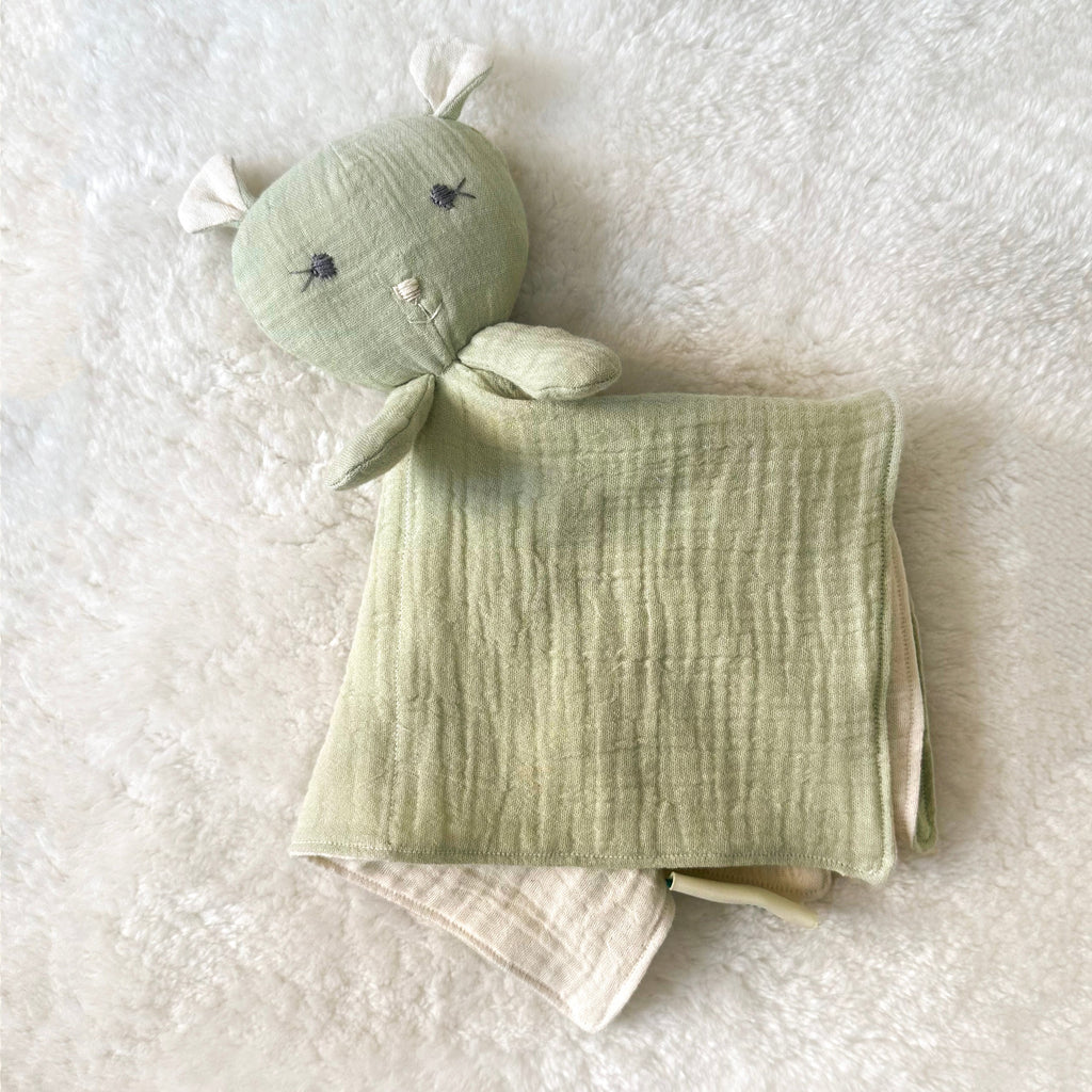 Bear Cuddle Blankie
