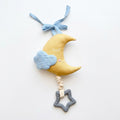 Moon Musical Pull Toy