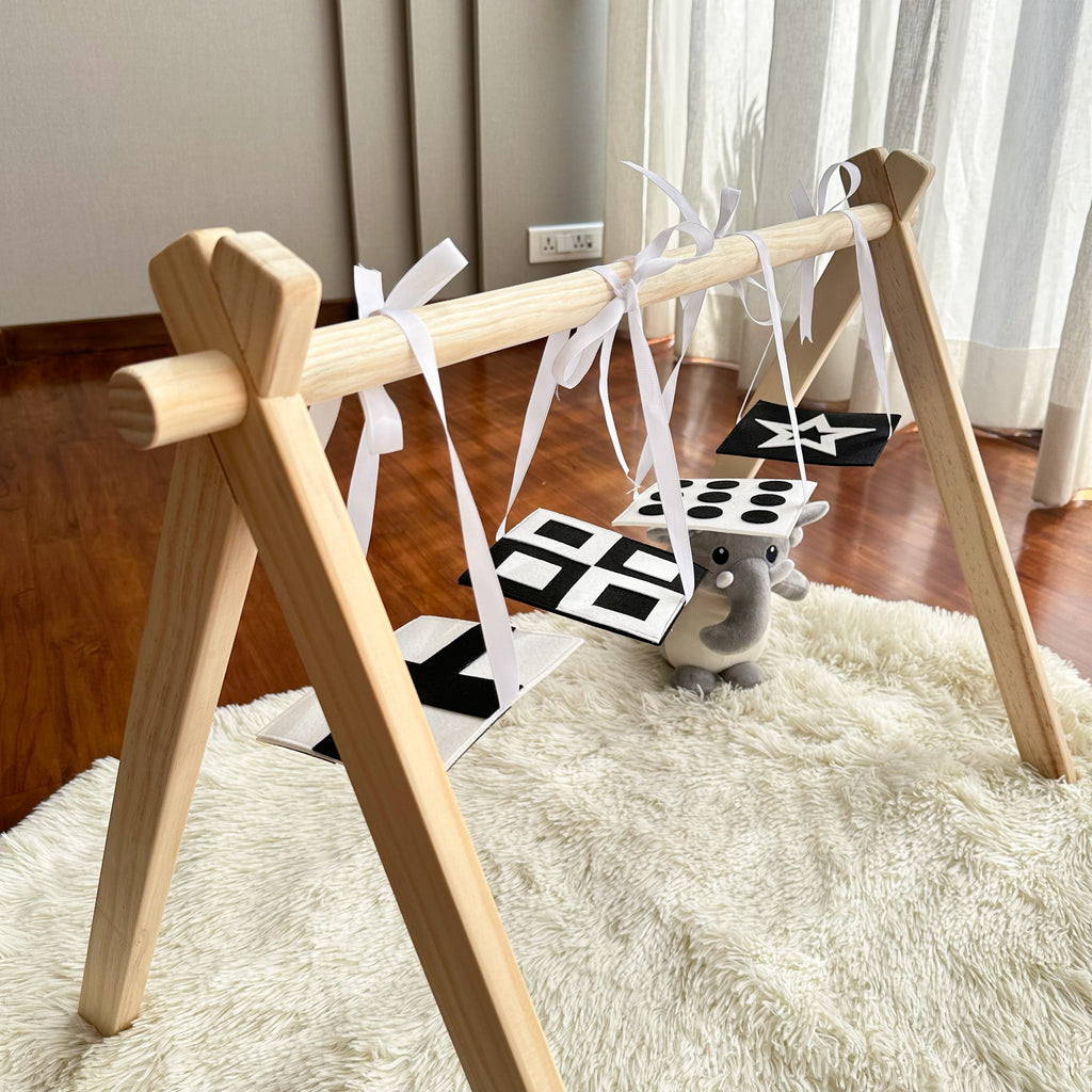 High Contrast Play Gym