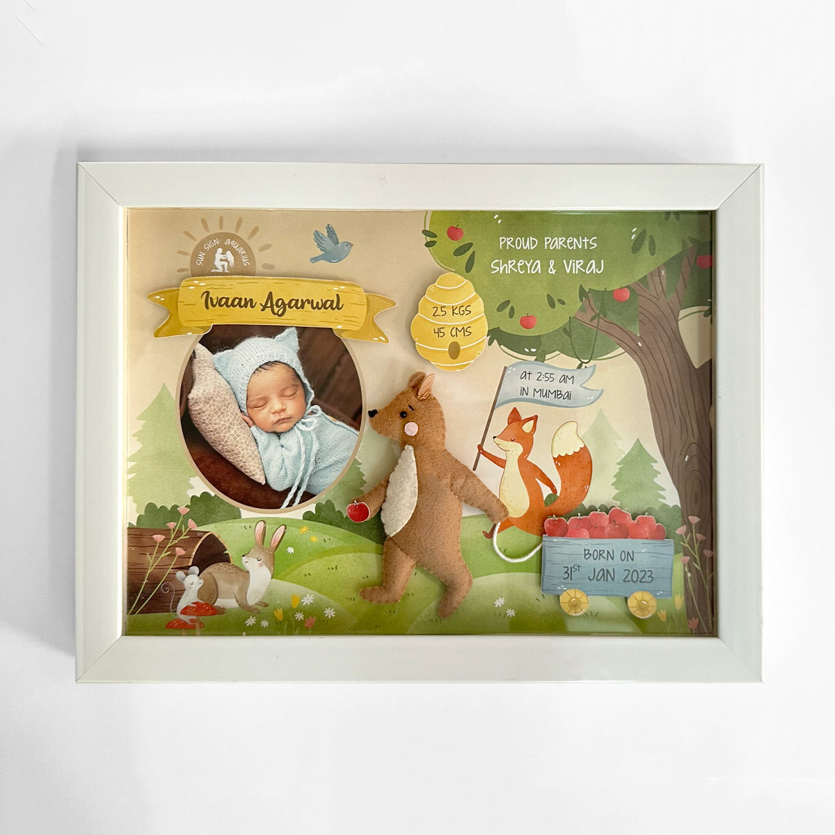 Birth Detail Memory Frame